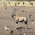 img_6538w