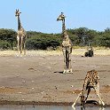 img_6542w