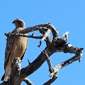img_6544w