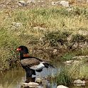 img_6564w