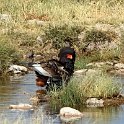 img_6567w