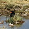 img_6570w