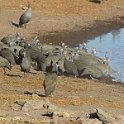 img_6574w