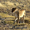 img_6581w
