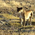 img_6582w