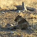 img_6586w