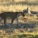 img_6588w