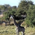 img_6591w