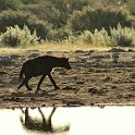 img_6601w