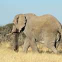 img_6606w