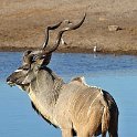 img_6610w