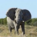 img_6614w