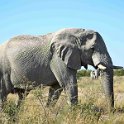 img_6617w