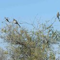 img_6621w