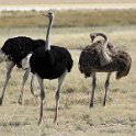 img_6632w