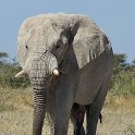 img_6645w