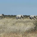 img_6652w