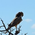 img_6654w