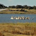 img_6668w