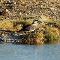 img_6674w