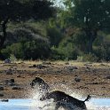img_6678w