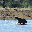 img_6680w