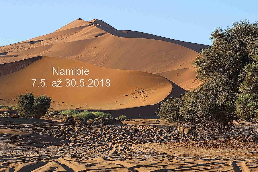 poušť Namib