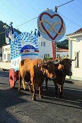 oslava hojnosti v Sete Cidades