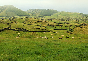 montagne na ostrově Pico