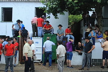 Touradas à Corda v Cinco Riberais