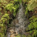 img_9209