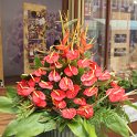 img_9157