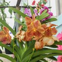 img_9161