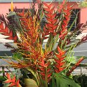 img_9163