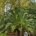 img_9276