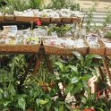 img_9441