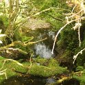 img_9419