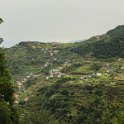 img_9795