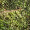 img_9798