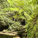 img_9802