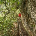 img_9514