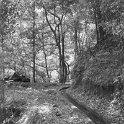 img_9524