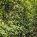 img_9528