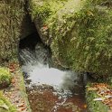 img_9532