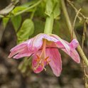 img_9550