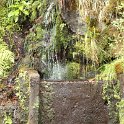img_9672