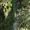 img_9682