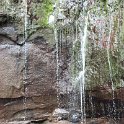 img_9688