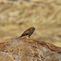 img_9598