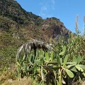 img_9354